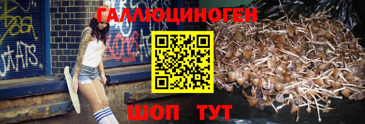 Полысаево  Галлюциногенные грибы прущие грибы  Вход с VPN 