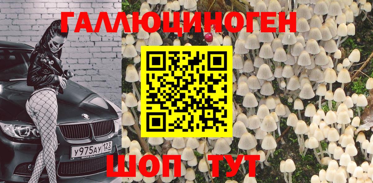 Псилоцибиновые грибы GOLDEN TEACHER Полысаево